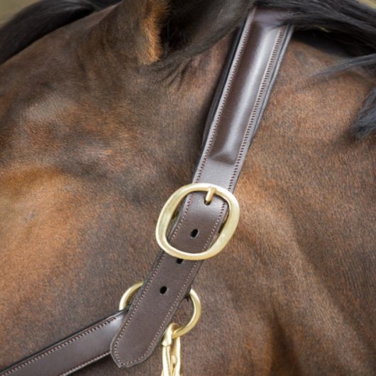 Licol cuir cheval muserolle bombée - HFI