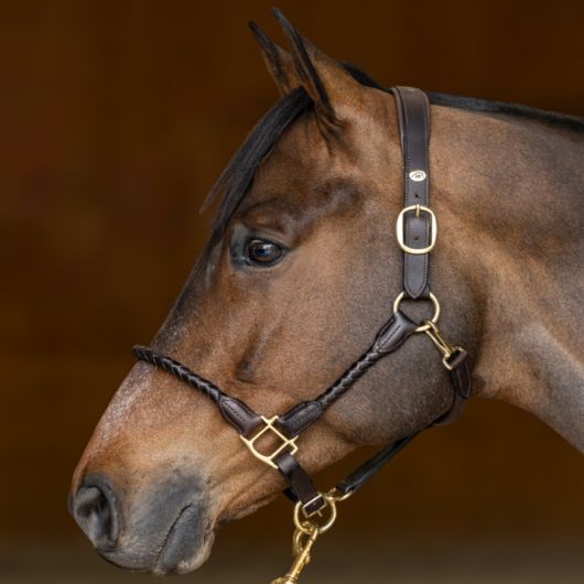 Licol cuir cheval tressé - HFI