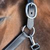Licol cuir cheval transport/grooming - HFI