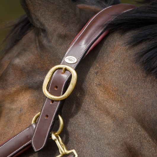 Licol cuir cheval transport/grooming - HFI