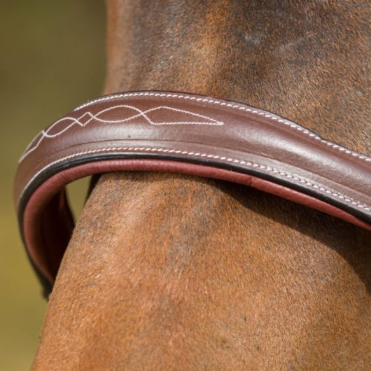 Licol cuir cheval transport/grooming - HFI