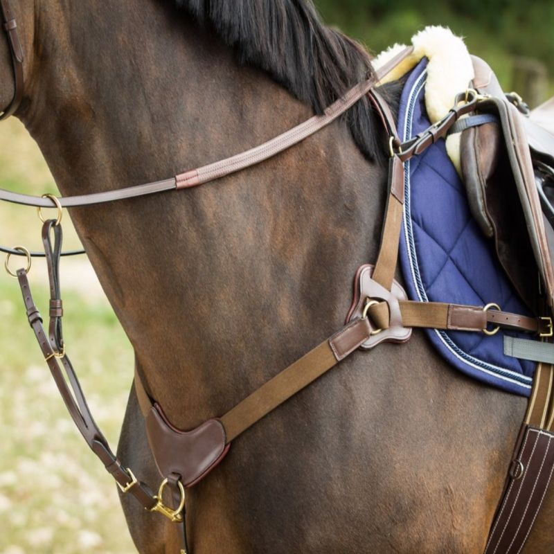 Collier de chasse cheval 5 points avec martingale - HFI 