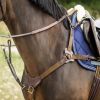 Collier de chasse cheval 5 points avec martingale - HFI 