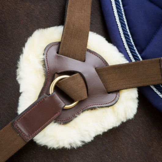Collier de chasse cheval 5 points avec martingale - HFI 