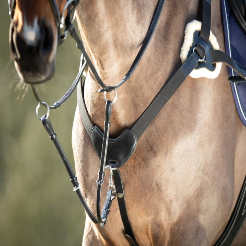 Collier de chasse cheval 5 points avec martingale - HFI 