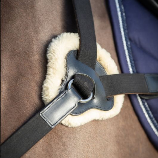Collier de chasse cheval 5 points avec martingale - HFI 
