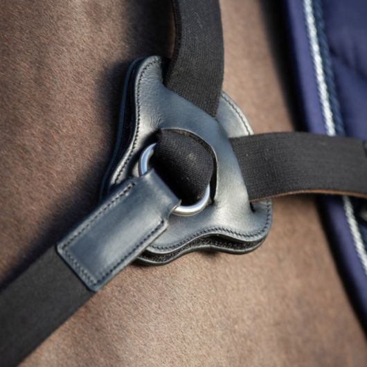 Collier de chasse cheval 5 points avec martingale - HFI 