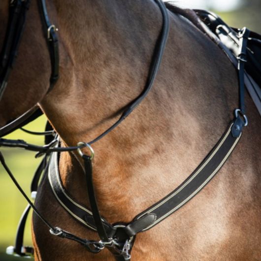 Collier de chasse cheval avec martingale - HFI 