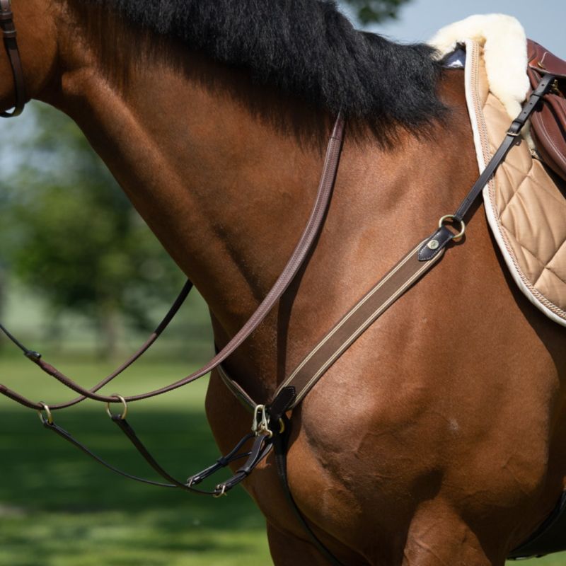 Collier de chasse cheval avec martingale - HFI 