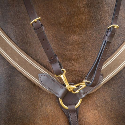Collier de chasse cheval avec martingale - HFI 