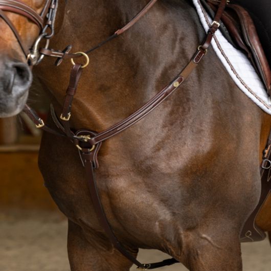 Collier de chasse cheval cuir italien et martingale Arezzo - HFI