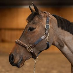 Licol cheval cuir et nylon - HFI