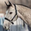 Licol cheval cuir et nylon - HFI