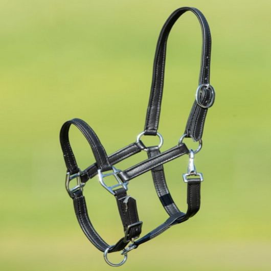 Licol poulain cuir souple - HFI 