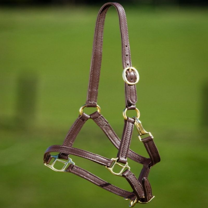 Licol poulain cuir souple - HFI 