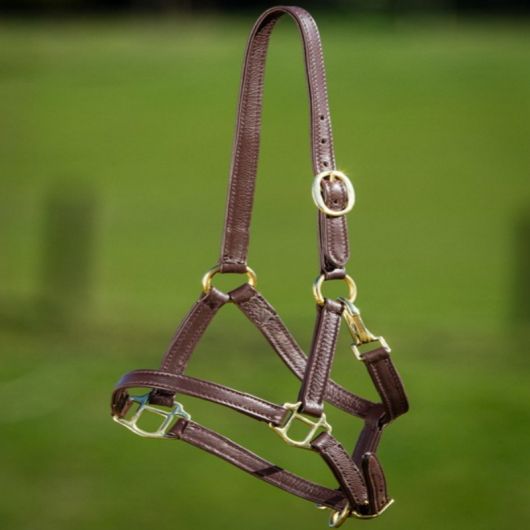 Licol poulain cuir souple - HFI 