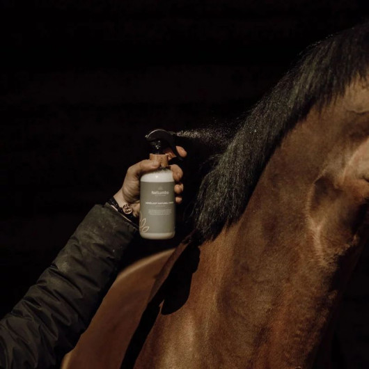 Soin Démêlant crins cheval - Nellumbo 