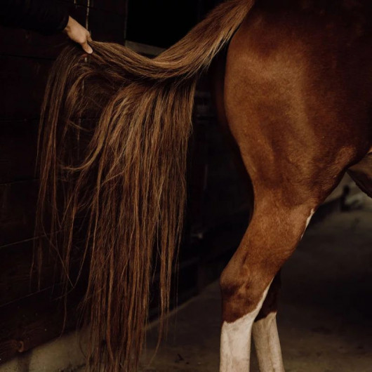 Soin Démêlant crins cheval - Nellumbo 