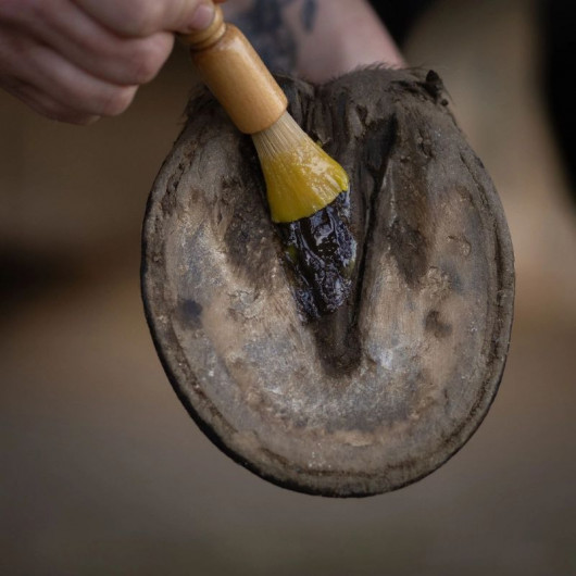 Baume soin des sabots - Nellumbo