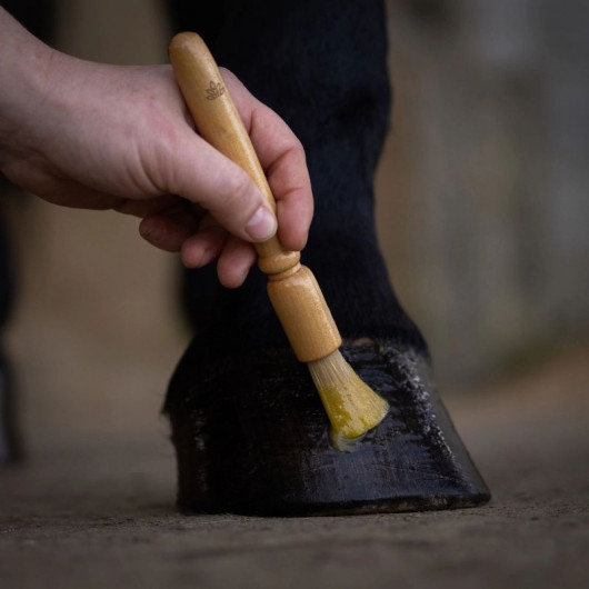 Baume soin des sabots - Nellumbo