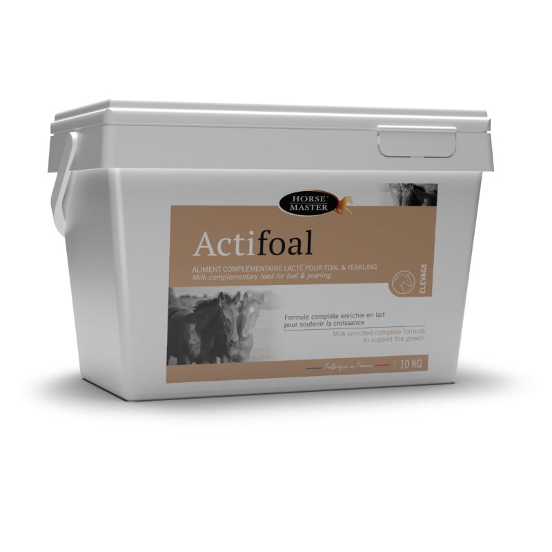 Actifoal poulain et yearling - Horse Master