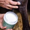Baume protecteur et hydratant cheval - Nellumbo