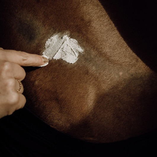 Baume protecteur et hydratant cheval - Nellumbo