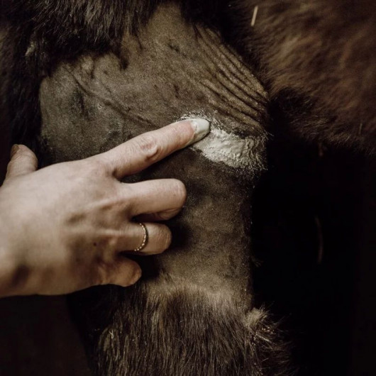 Cataplasme Argile réparateur cheval - Nellumbo 