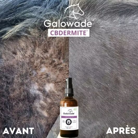 Recharge huile dermite estivale cheval CBDermite Date courte - Galowade