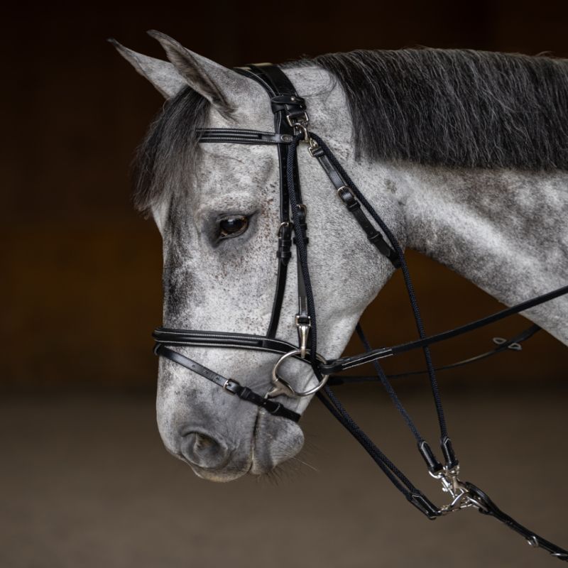 Gogue cheval corde nylon - HFI