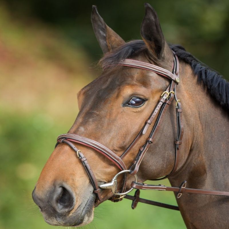Bridon cheval cuir Comfort - HFI 