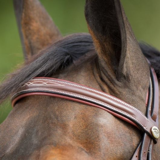 Bridon cheval cuir Comfort - HFI 