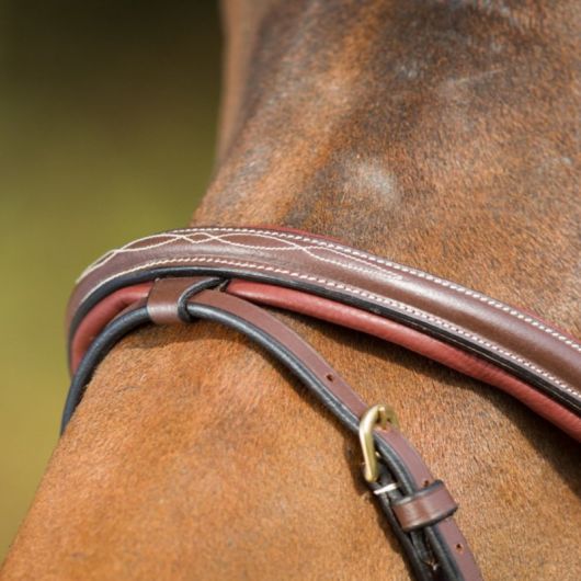 Bridon cheval cuir Comfort - HFI 