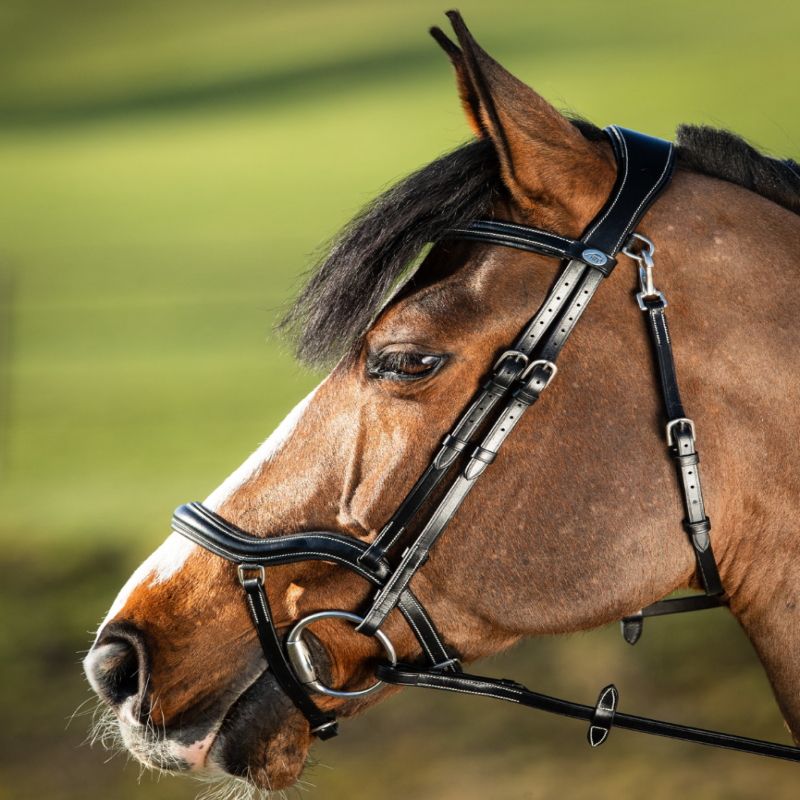 Bridon cheval cuir muserolle anatomique Techno - HFI 