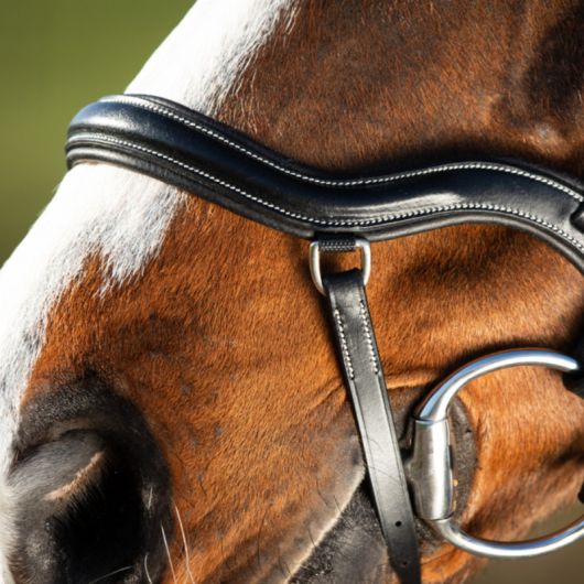 Bridon cheval cuir muserolle anatomique Techno - HFI 