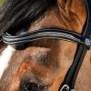 Bridon cheval cuir muserolle anatomique Techno - HFI 