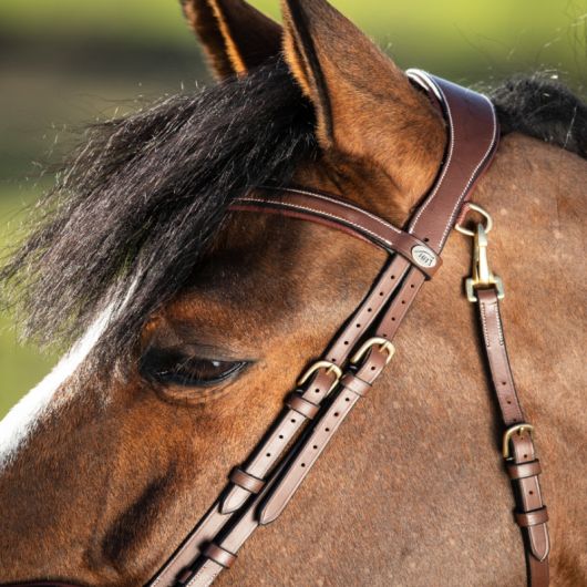 Bridon cheval cuir muserolle anatomique Techno - HFI 