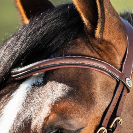 Bridon cheval cuir muserolle anatomique Techno - HFI 