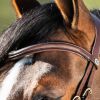 Bridon cheval cuir muserolle anatomique Techno - HFI 