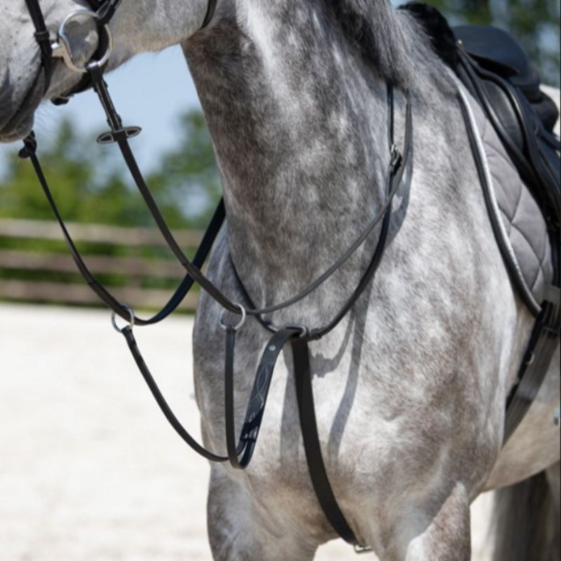 Martingale à anneaux cheval - HFI