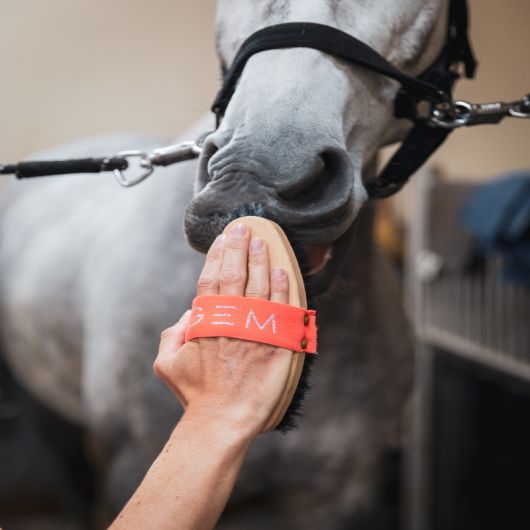 Brosse douce cheval - GEM Equitation