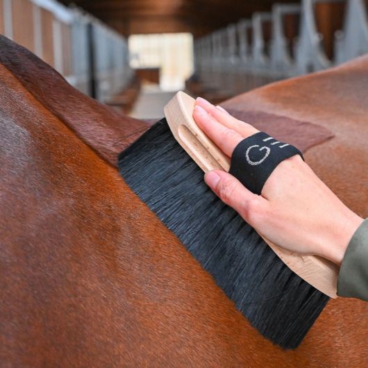 Brosse poils longs cheval - GEM Equitation