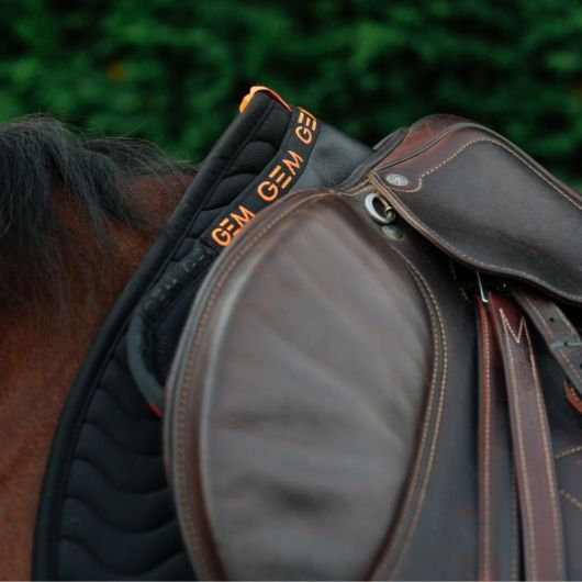 Amortisseur dos cheval Oscar - GEM Equitation