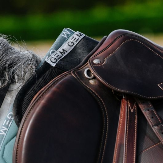 Amortisseur dos cheval Oscar - GEM Equitation