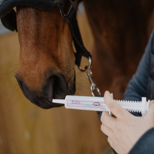 B Kalm anti−stress cheval seringue 30 ml - Horse Master