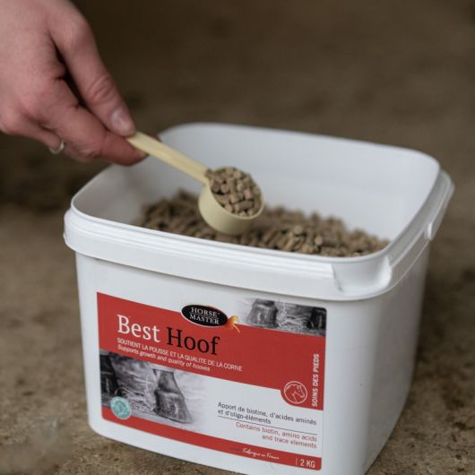 Biotinecheval Best Hoof - Horse Master