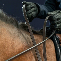 Rênes cheval bride cuir 1/2 New English Collection Dy'on noisette - Le Paturon