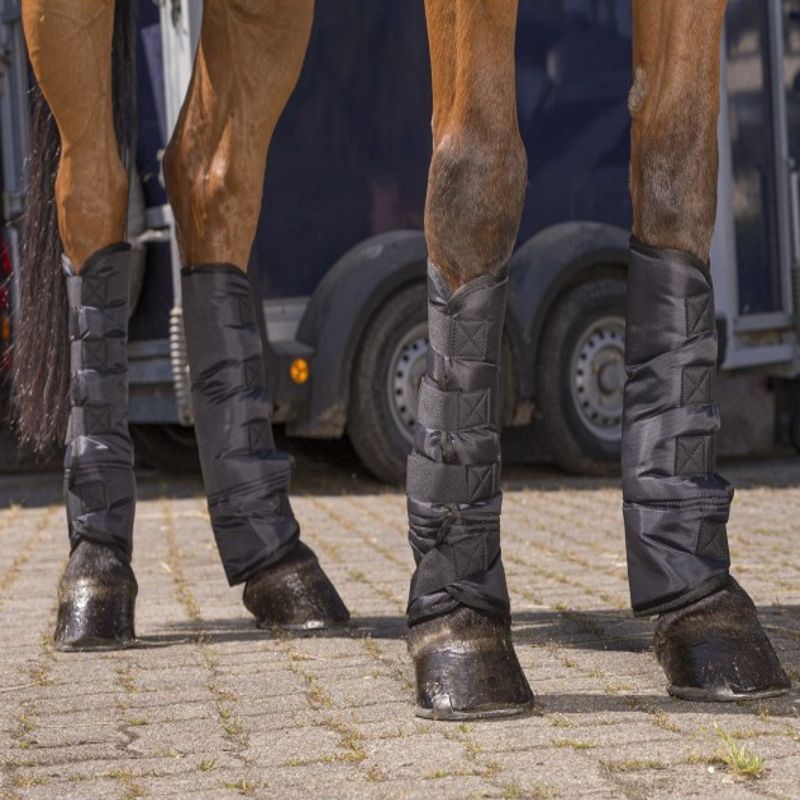 Guêtres de transport cheval hautes économiques (x4) - Riding World