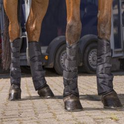 Guêtres de transport cheval hautes économiques (x4) - Riding World