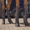 Guêtres de transport cheval hautes économiques (x4) - Riding World